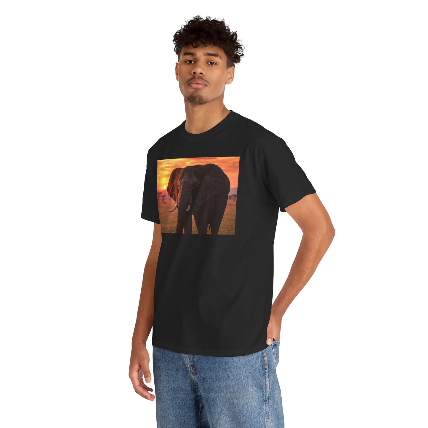 Sunset Elephant T-Shirt